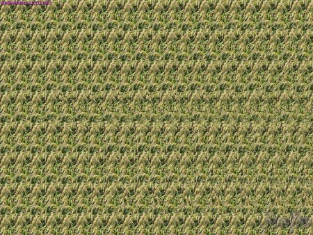 Стереоизображения для тренировки глаз