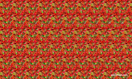 Стереокартинка Фламинго