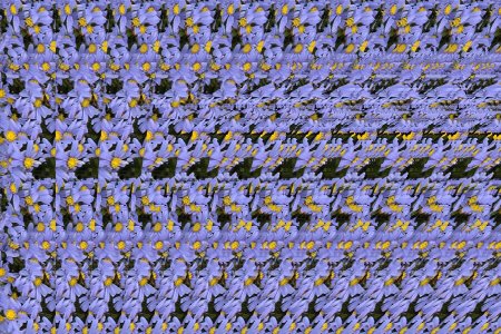 Стереограмма Король Лев