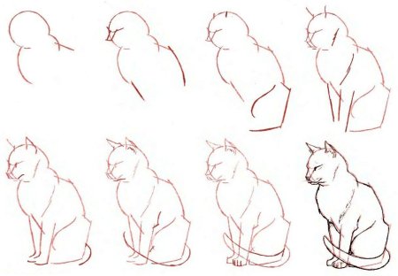 Поэтапный рисунок кошки