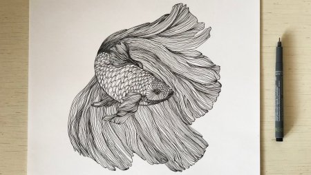 Линеры для рисования