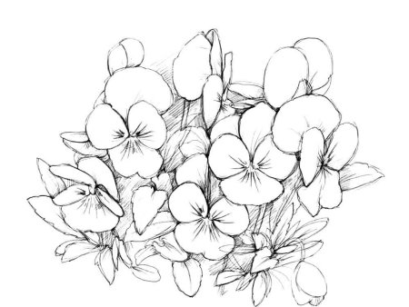 Пошаговое рисование цветы