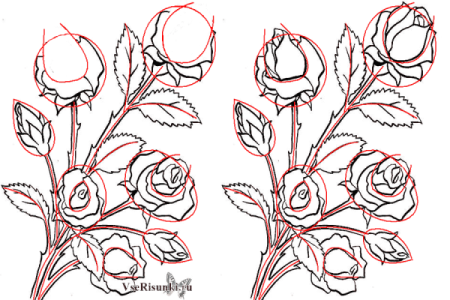 Раскраска фиалка в горшке