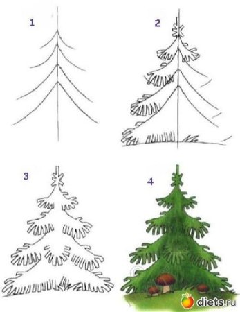 Схема рисования елочки