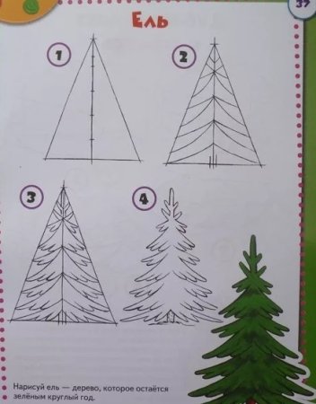 Поэтапное рисование елки