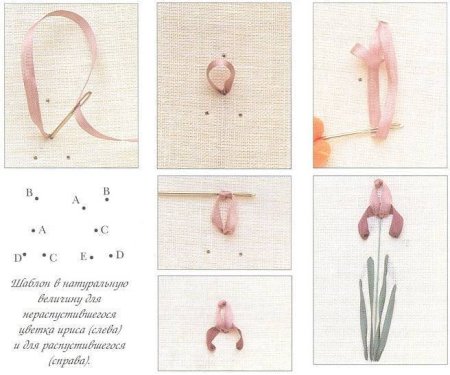 Вышивка лентами для начинающих пошагово схемы