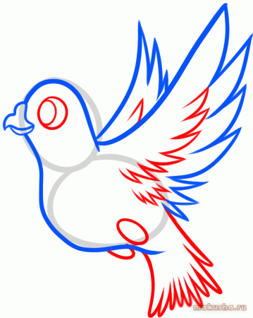Поэтапное рисование голубя