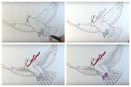 Голубь пошагово