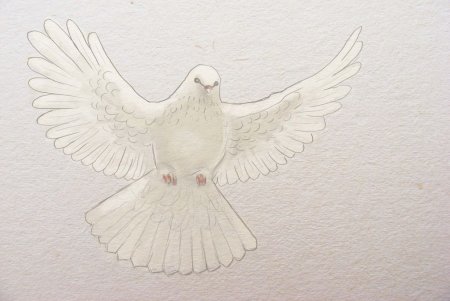 Нарисовать голубя карандашом