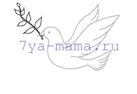 Нарисовать голубя мира карандашом поэтапно для начинающих