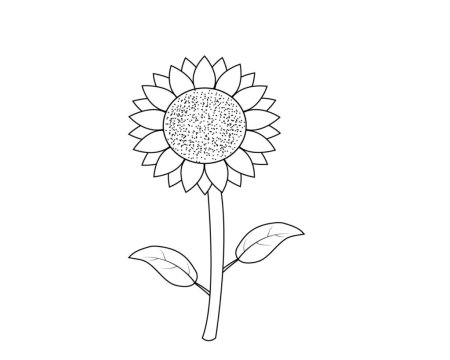 Подсолнух рисунок для детей карандашом