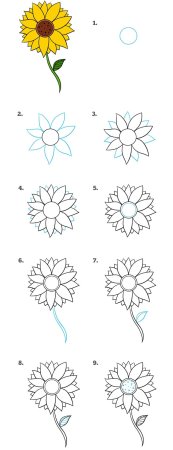 Пошаговое рисование подсолнуха