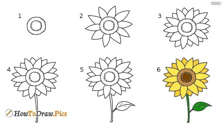 Скетчинг Подсолнухи