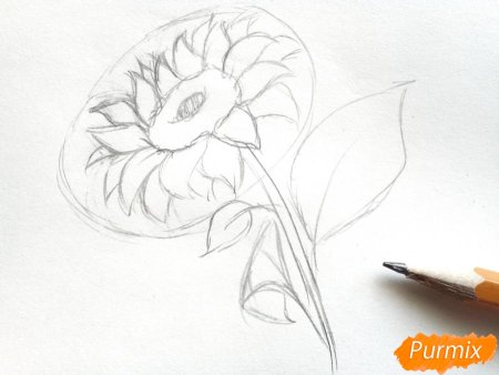 Поэтапное рисование подсолнуха