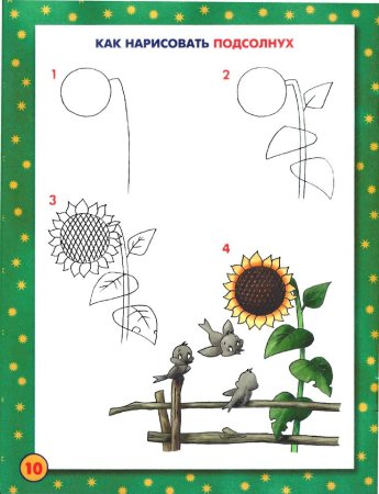 Поэтапное рисование подсолнуха