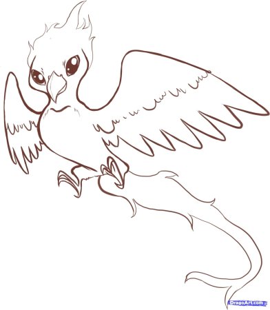 Картинки Феникса для срисовки