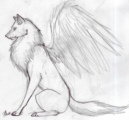 Волки с крыльями для срисовки