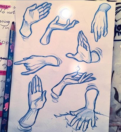 Анатомия рук кисти рук референс