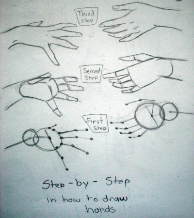 Руки референс анатомия кисти