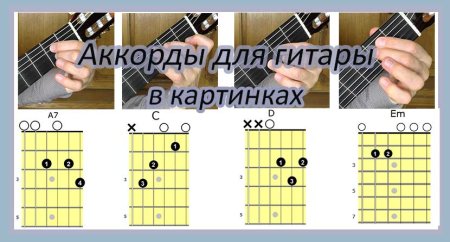 Аккорды для гитары для начинающих