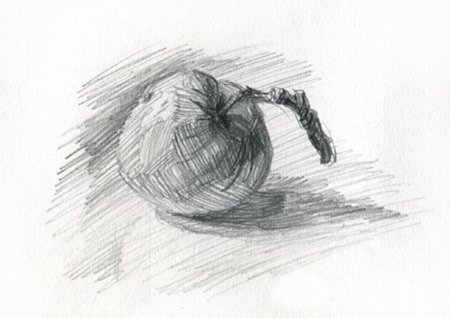 Рисунки штрихами карандашом для начинающих