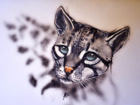 Рисунки аэрографом на бумаге