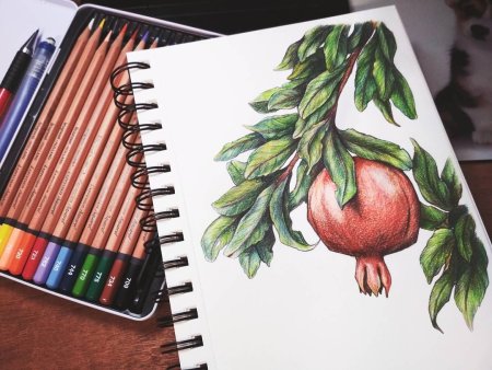 Натюрморт с фруктами рисунок