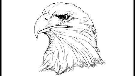 Изображение головы орла