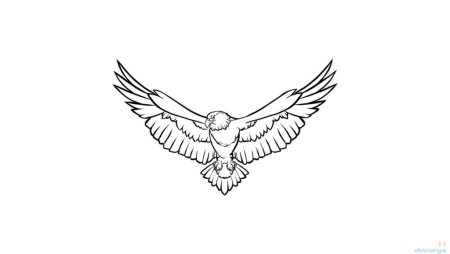 Орёл для срисовки