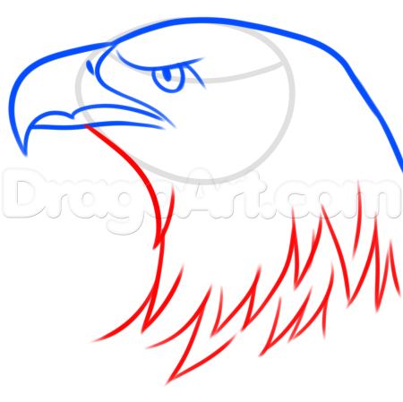 Орёл рисунок карандашом поэтапно