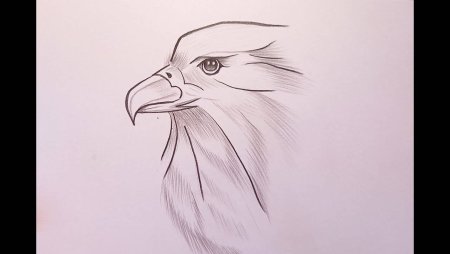 Фото нарисованного орла