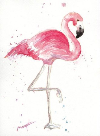 Рисунки фламинго для начинающих (48 фото)