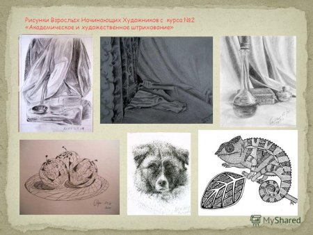 Академический рисунок карандашом цветы