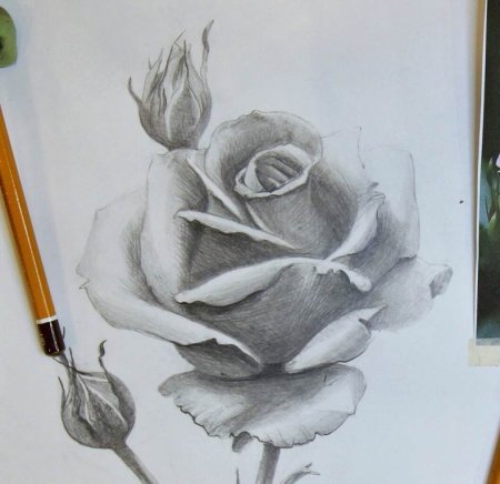 Готфрид Баммес позы