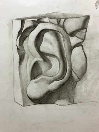 Академический рисунок Новосибирск