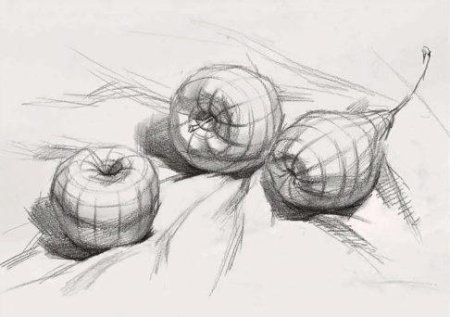 Этапы рисования портрета человек