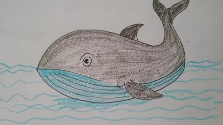 Кит карандашом