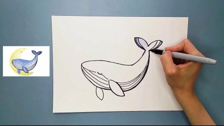 Нарисовать кита