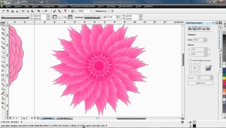 Рисунки из приложения corel