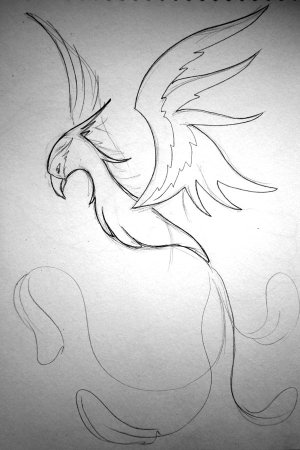 Нарисовать Феникса карандашом