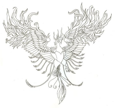 Феникс рисунок