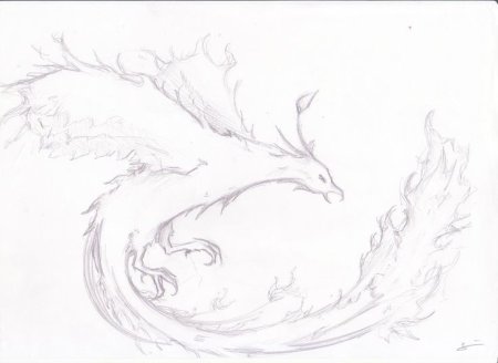 Феникс карандашом легко