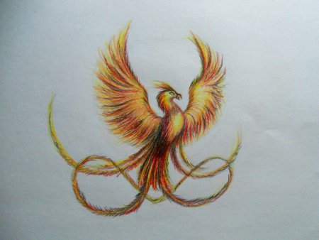 Птица Феникс для срисовки