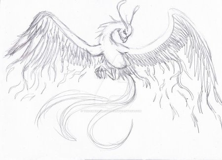 Феникс рисунок для срисовки