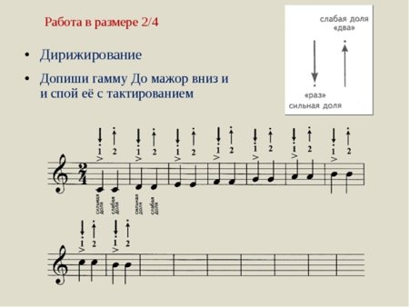 Ритмические задачи по сольфеджио 1 класс