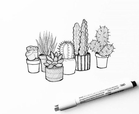 Рисунок линером легкий