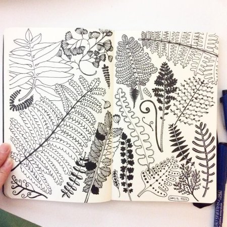 Зентангл папоротник
