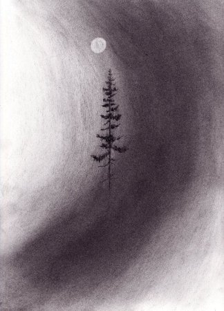 Рисунки углем для начинающих