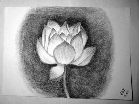 Рисунки углём лёгкие