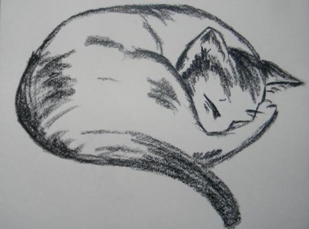 Рисование углем для начинающих